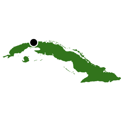 キューバ共和国無料フリーイラスト｜首都(緑)